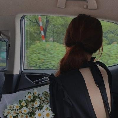 平原上的夏洛克